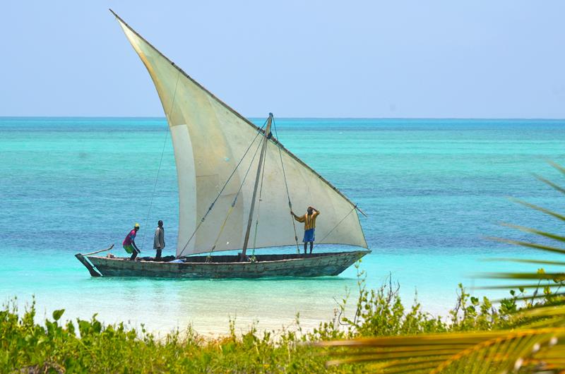 Mehr über den Artikel erfahren Komm mit nach Zanzibar